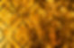 AdobeStock_115951008.jpeg